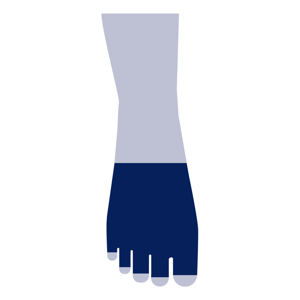 Zehenteil Zehen (AA)